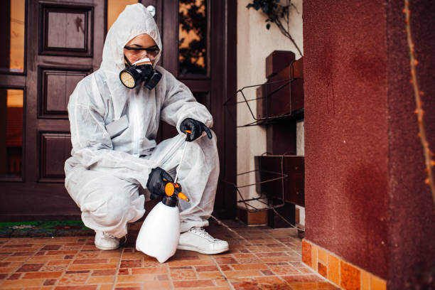 Reliable Cockroach Control contractor in Cameron, TX by Nex Pest Control